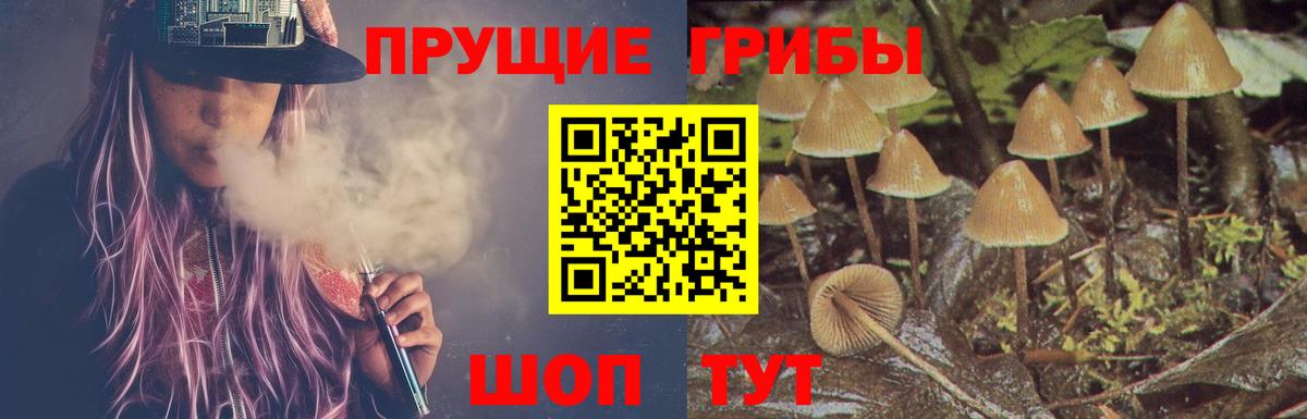 Псилоцибиновые грибы Magic Shrooms  Псилоцибиновые грибы мицелий  Вход с VPN  Кольчугино 